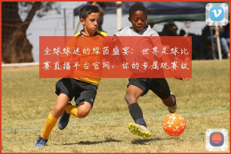 全球球迷的绿茵盛宴:世界足球比赛直播平台官网,你的专属观赛故事